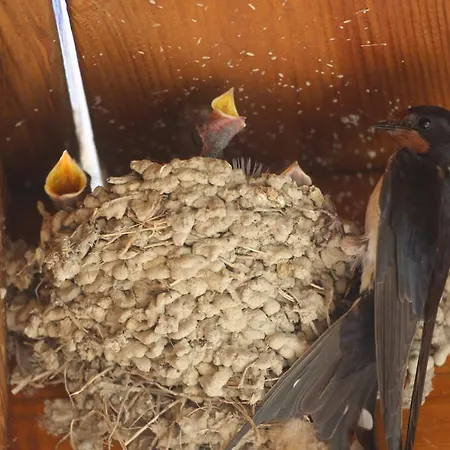 Montgolfiere 6 Personnes Casa de Férias