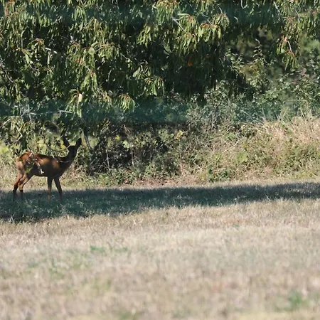 Montgolfiere 6 Personnes