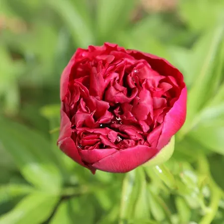 Montgolfiere 6 Personnes Châtellerault