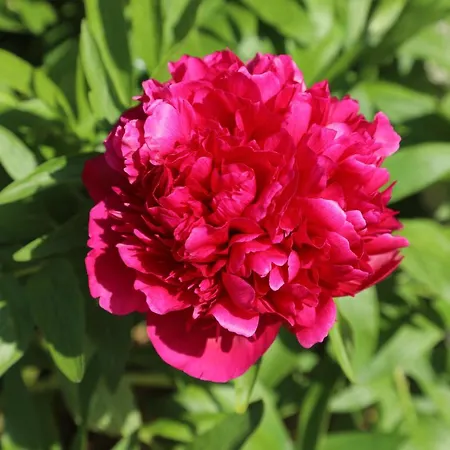 Montgolfiere 6 Personnes * 沙泰勒罗