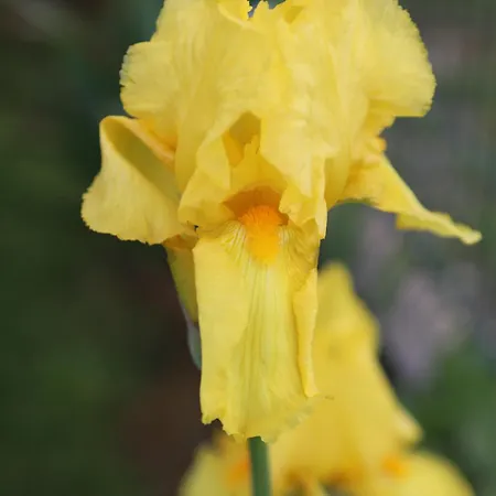 Montgolfiere 6 Personnes 度假居 *