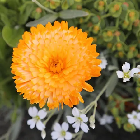 度假居 Montgolfiere 6 Personnes 沙泰勒罗