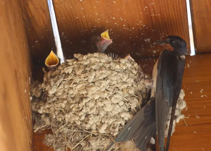 Montgolfiere 6 Personnes Сasa de vacaciones