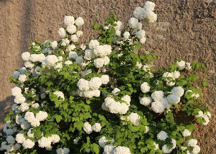 Montgolfiere 6 Personnes Сasa de vacaciones