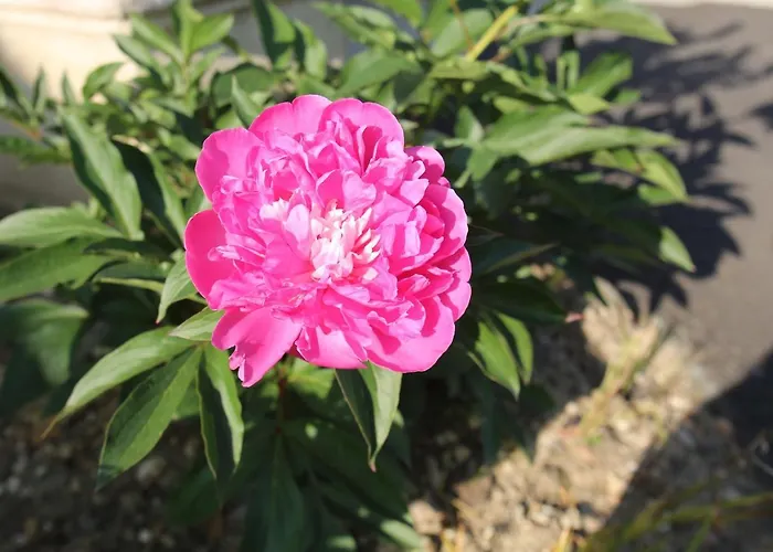 Сasa de vacaciones Montgolfiere 6 Personnes *