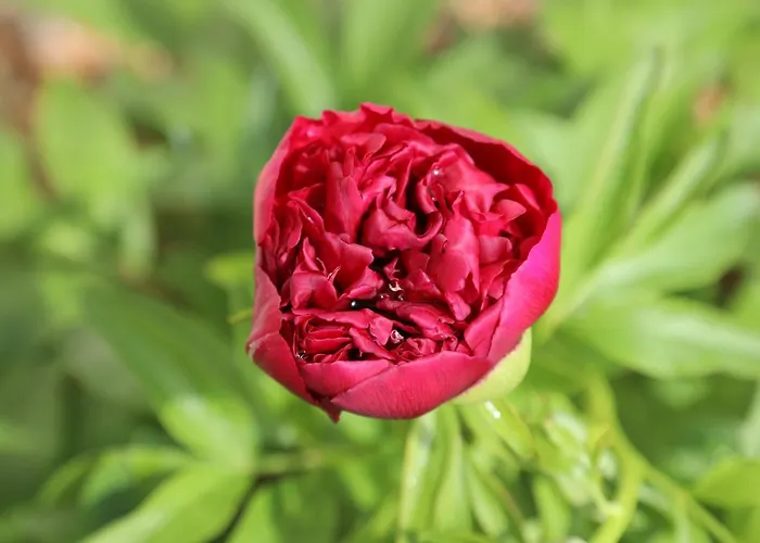 Montgolfiere 6 Personnes Châtellerault