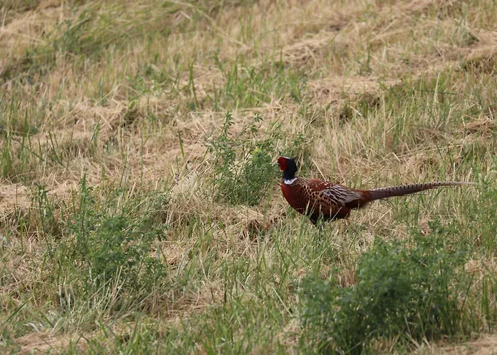 Montgolfiere 6 Personnes Сasa de vacaciones
