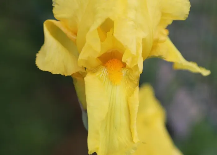 Montgolfiere 6 Personnes Сasa de vacaciones *