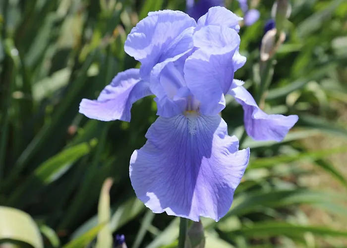 Montgolfiere 6 Personnes *