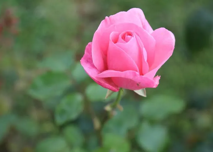 Montgolfiere 6 Personnes Сasa de vacaciones *